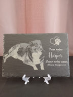 Plaque mémorielle pour animal avec photo gravée